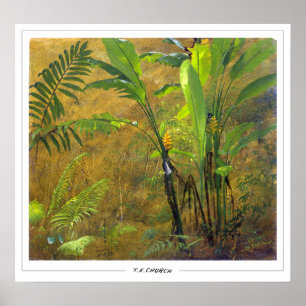 Frederic Edwin Church Fijne Kunst #651 Poster