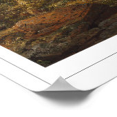 Frederic Edwin Church Fine Art #2 Poster (Hoek)