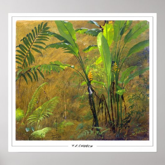 Frederic Edwin Church Fine Art #651 Poster (Voorkant)