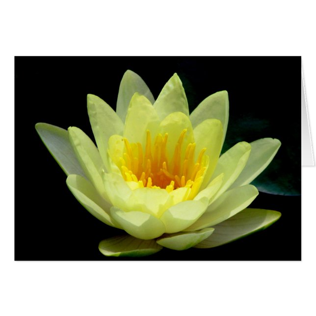 Frédéric Vanderbilt Maison d'été #16 (Devant horizontal)