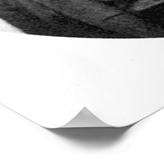 Frederick Douglass Poster (Hoek)