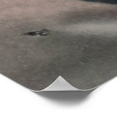 Frederick Edwin Church Poster (Hoek)