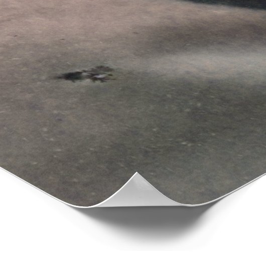 Frederick Edwin Church Poster (Hoek)