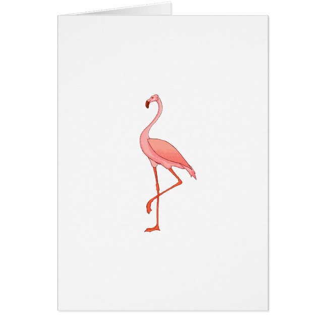 Frederick Flamingo (Voorkant)