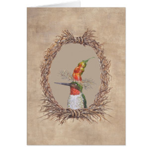 Frederico la carte de colibri