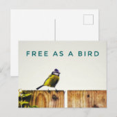 Free as a Bird Postcard Briefkaart (Voorkant / Achterkant)
