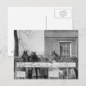 Free Dinner for Horses, 1923 Briefkaart (Voorkant / Achterkant)