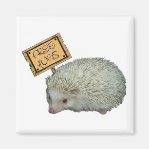 Free Hugs Hedegel Magneet