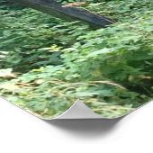 Free Range Children-teken, leuk Poster (Hoek)