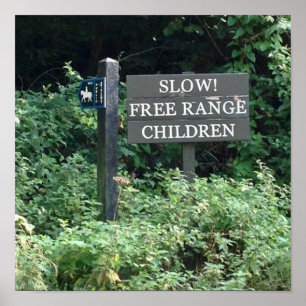 Free Range Children-teken, leuk Poster