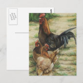 "Free Range" Rooster & 2 Hens Postcard Briefkaart (Voorkant / Achterkant)