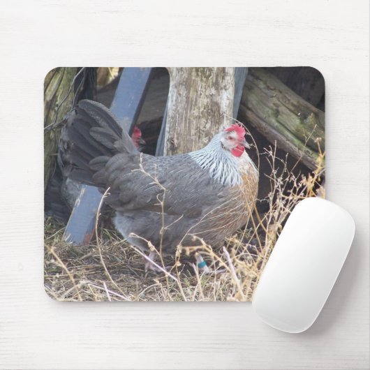 Free Range Silver Gray Dorking Hen Muismat (Met muis)