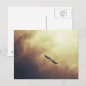 "Free Spirit" Zuid-Afrikaans Briefkaart van wilde  (Voorkant / Achterkant)