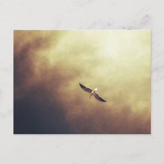 "Free Spirit" Zuid-Afrikaans Briefkaart van wilde 