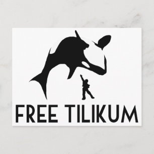 Free Tilikum Save the Orca Killer Whale Briefkaart