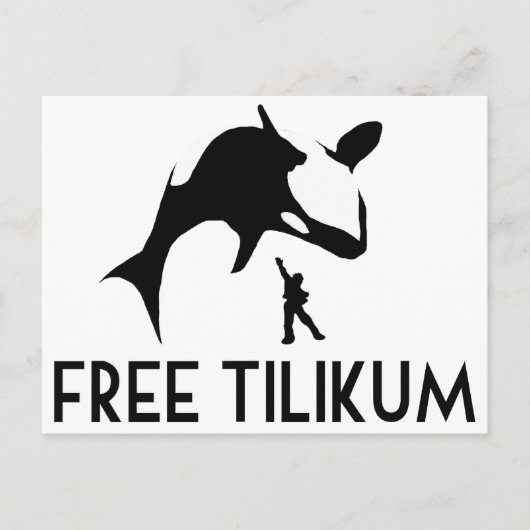 Free Tilikum Save the Orca Killer Whale Briefkaart (Voorkant)