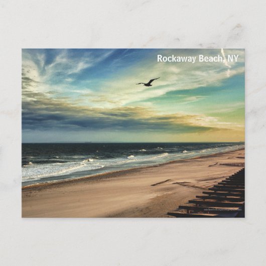 Freedom Bird Briefkaart (Voorkant)