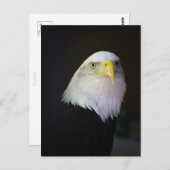 Freedom Briefkaart (Voorkant / Achterkant)