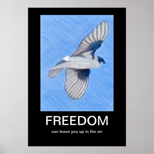FREEDOM Demotivationeel poster (Voorkant)