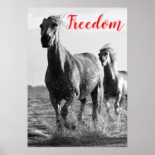 Freedom Red Black White-looppaarden Poster