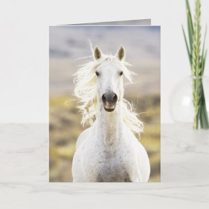 Freedom's Call Wild Horse Wenskaart Kaart