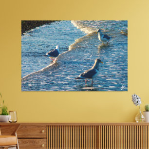 Freeland Muiteringsbaai #1 Canvas Afdruk