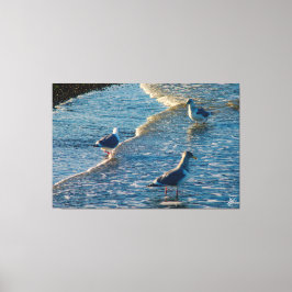 Freeland Mutiny Bay #1 Canvas Afdruk