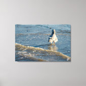 Freeland Mutiny Bay #2 Canvas Afdruk (Voorkant)