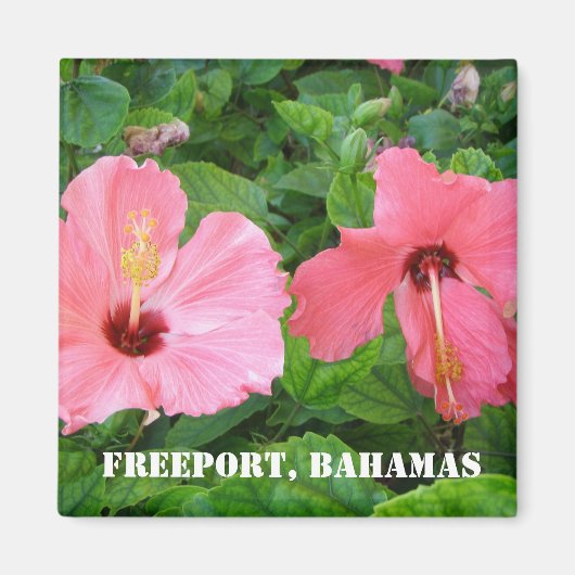 Freeport, Bahamas Magnet (Devant)