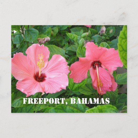Freeport, Briefkaart Bahamas (Voorkant)