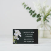 Freesia blanche sur le Carte de visite noir (Debout devant)