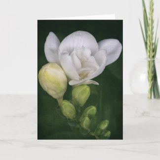 Freesia-bloemkaart Kaart