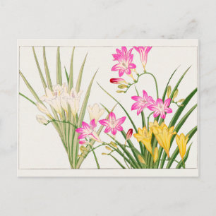 Freesia door Tanigami Konan Briefkaart