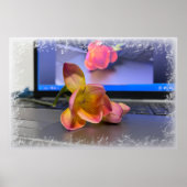 Freesia flower op het toetsenbord poster (Voorkant)