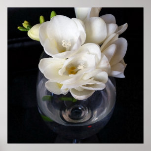 freesia night cup poster