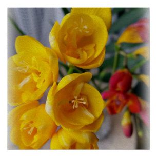 freesias bouquet perfect poster