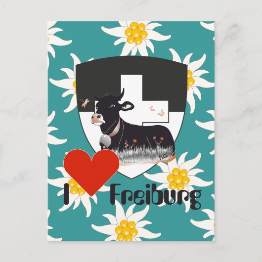 Freiburg / Fribourg Schweiz Suisse Postkarte Briefkaart (Voorkant)