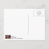 Fremont Street Experience Briefkaart (Achterkant)