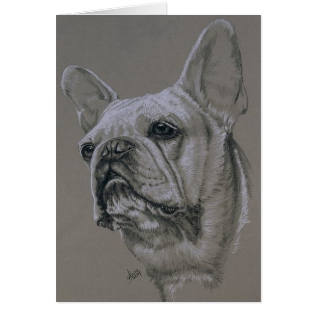 French Bulldog (Voorkant)
