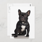 French Bulldog Briefkaart (Voorkant / Achterkant)