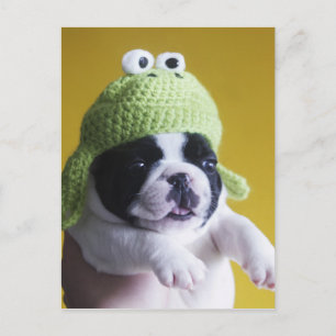 French Bulldog Briefkaart