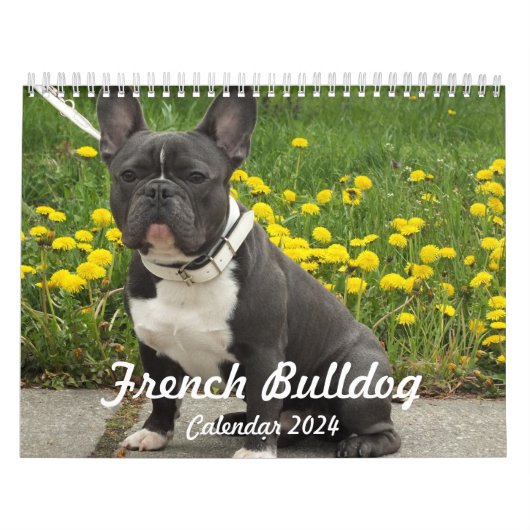French Bulldog Calendar 2024 Uw foto's toevoegen Kalender (Hoes)