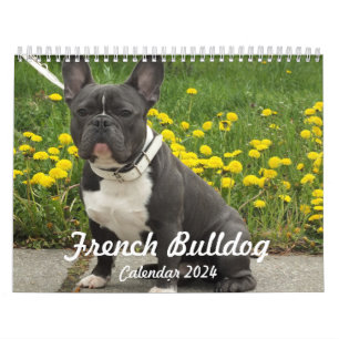 French Bulldog Calendar 2024 Uw foto's toevoegen Kalender