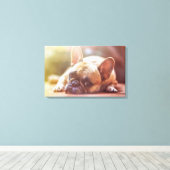 French Bulldog Canvas Afdruk (Insitu (Houten vloer))