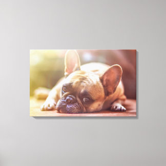 French Bulldog Canvas Afdruk