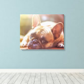 French Bulldog Canvas Afdruk (Insitu (Houten vloer))