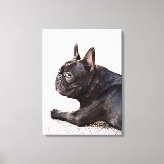 French Bulldog Canvas Afdruk (Voorkant)