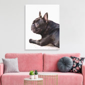 French Bulldog Canvas Afdruk (Insitu (Woonkamer))