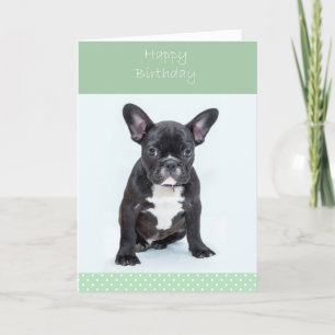 French Bulldog Chiot Bonne Carte de voeux d'annive
