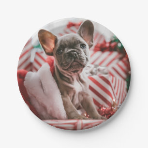 French Bulldog in Christmas Hat Papieren Bordje